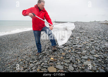 Aberystwyth Wales UK, Samstag, 21. Mai 2016 UK Wetter: hardy freiwilliger kommt im Regen auf einem nassen und Elend Samstagmorgen zu helfen, reinigen Sie Tanybwlch Strand in Aberystwyth.    Die Menschen, alle Unterstützer der lokalen "Aberystwyth Strand Buddies" Facebook-Gruppe treffen regelmäßig um zu entfernen, die Hunderte von Stücken von Plastik und anderem Müll angespült oder absichtlich an den Stränden rund um Aberystwyth Foto Credit verworfen: Keith Morris / Alamy Live News Stockfoto