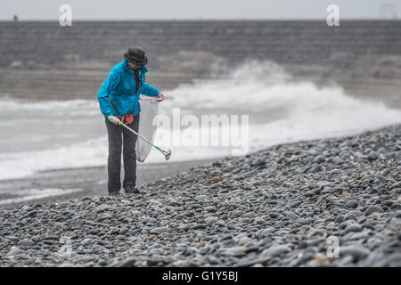 Aberystwyth Wales UK, Samstag, 21. Mai 2016 UK Wetter: freiwilliger hardy Frau kommt im Regen auf einem nassen und Elend Samstagmorgen zu helfen, reinigen Sie Tanybwlch Strand in Aberystwyth.    Die Menschen, alle Unterstützer der lokalen "Aberystwyth Strand Buddies" Facebook-Gruppe treffen regelmäßig um zu entfernen, die Hunderte von Stücken von Plastik und anderem Müll angespült oder absichtlich an den Stränden rund um Aberystwyth Foto Credit verworfen: Keith Morris / Alamy Live News Stockfoto