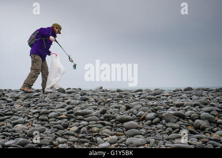 Aberystwyth Wales UK, Samstag, 21. Mai 2016 UK Wetter: hardy freiwilliger kommt im Regen auf einem nassen und Elend Samstagmorgen zu helfen, reinigen Sie Tanybwlch Strand in Aberystwyth.    Die Menschen, alle Unterstützer der lokalen "Aberystwyth Strand Buddies" Facebook-Gruppe treffen regelmäßig um zu entfernen, die Hunderte von Stücken von Plastik und anderem Müll angespült oder absichtlich an den Stränden rund um Aberystwyth Foto Credit verworfen: Keith Morris / Alamy Live News Stockfoto