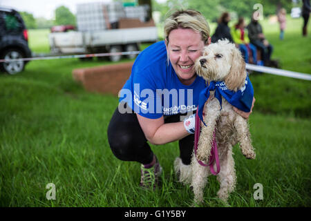 Windsor, UK. 21. Mai 2016. Ein Hund im Wettbewerb auf dem schlammigen Hund Herausforderung Hindernis laufen im Windsor Great Park zugunsten von Battersea Hunde und Katzen. Bildnachweis: Mark Kerrison/Alamy Live-Nachrichten Stockfoto