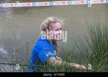 Windsor, UK. 21. Mai 2016. Hunde und Besitzer konkurrieren in den schlammigen Hund Herausforderung Hindernis laufen im Windsor Great Park zugunsten von Battersea Hunde und Katzen. Bildnachweis: Mark Kerrison/Alamy Live-Nachrichten Stockfoto