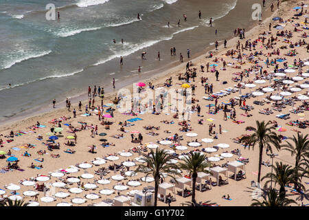 Alicante, Spanien. 21. Mai 2016. Menschen genießen den Strand in Alicante, wie hohe Temperaturen die Küste von Spanien Credit traf: Marcos del Mazo/Pacific Press/Alamy Live News Stockfoto