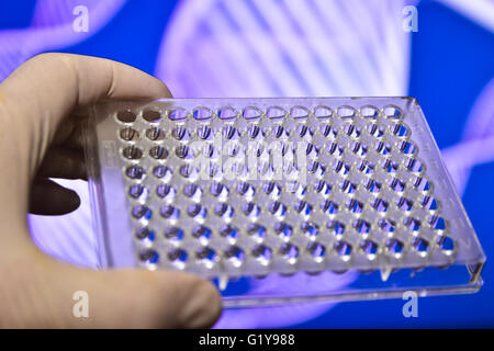 DNA-Tests in genetischen Laboratorien. Biologische wissenschaftliche Ausrüstung. Stockfoto