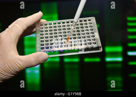 DNA-Tests in genetischen Laboratorien. Biologische wissenschaftliche Ausrüstung. Stockfoto