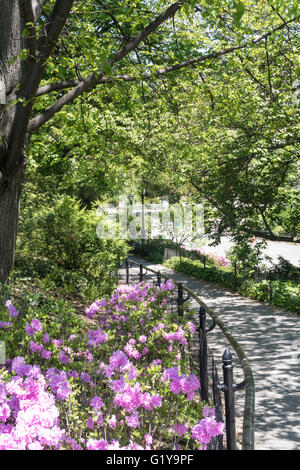 Central Park im Frühling, NYC, USA Stockfoto