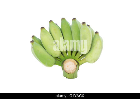 Kultivierte Banane isoliert auf weißem backgrond Stockfoto