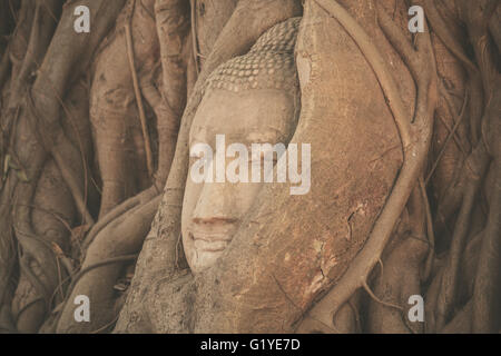 Kopf einer Buddha-Statue verheddert in den Wurzeln eines Baumes im Wat Mahathat, Thailand Stockfoto