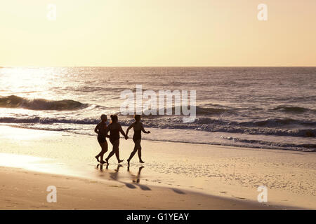 Drei Frauen laufen am Strand ins Wasser mit Hintergrundbeleuchtung, Caloundra, Queensland, Australien Stockfoto