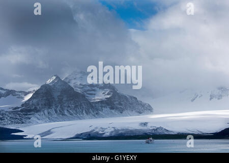 Kreuzfahrtschiff vor Anker in der Bucht der Inseln unter Lucas Glacier, in der Nähe von Salisbury Plain Südgeorgien Januar Stockfoto