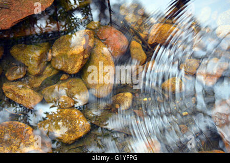 Wellen und Reflexionen in einem steinigen Teich Stockfoto