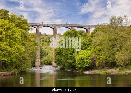 Pontcysyllte Aquädukt von Thomas Telford und Weltkulturerbe, reflektiert in den Fluss Dee, mit Menschen zu Fuß... Stockfoto