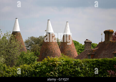 Oast Hausdächer, East Sussex Stockfoto