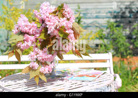 Japanische Kirschblüte in der Vase auf dem Tisch im Garten Stockfoto