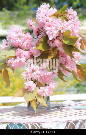 Japanische Kirschblüte in der Vase auf dem Tisch im Garten Stockfoto