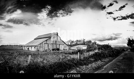 Verlassene Scheune, schwarz / weiß Bild, USA Stockfoto