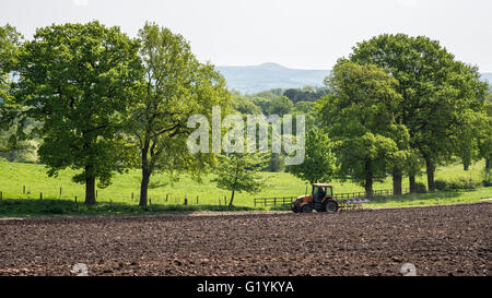 Traktor in die Landschaft von Cheshire an einem sonnigen Mai-Tag pflügen. In der Nähe von Alderley Edge, England aufgenommen. Stockfoto