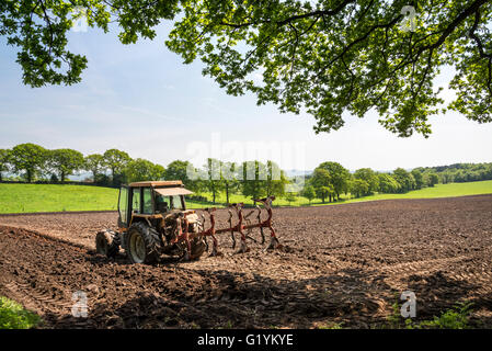 Traktor in die Landschaft von Cheshire an einem sonnigen Mai-Tag pflügen. In der Nähe von Alderley Edge, England aufgenommen. Stockfoto