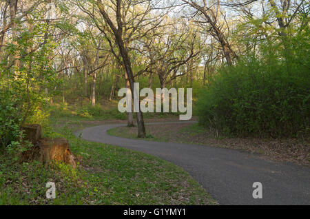 gepflasterten Serpentinen durch Wald in Battle Creek regional Park in Saint Paul, minnesota Stockfoto