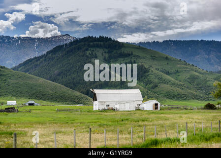 Weißen Bauernhaus in den USA auf dem Weg, Wyoming Stockfoto