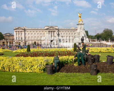 Buckingham Palace-Blumen und Gärtnern im Frühjahr Stockfoto
