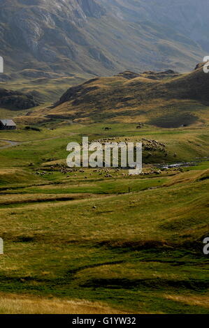 AJAXNETPHOTO. 2015. PYRÉNÉES, FRANKREICH. -GEBIRGE - SCHAFBEWEIDUNG IM SCHATTEN DES COL DU POURTALET NAHE DER GRENZE ZWISCHEN FRANKREICH UND SPANIEN.  FOTO: JONATHAN EASTLAND/AJAX REF: D152307 5778 Stockfoto