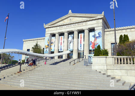 Das Shedd Aquarium in Chicago ist eines der vielen Top-Attraktionen in der Stadt und ist oft an einem Nachmittag am Wochenende überfüllt. Stockfoto