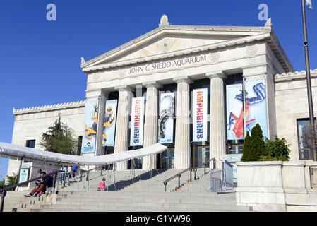 Das Shedd Aquarium in Chicago ist eines der vielen Top-Attraktionen in der Stadt und ist oft an einem Nachmittag am Wochenende überfüllt. Stockfoto