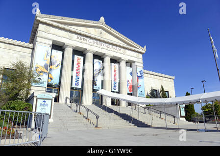 Das Shedd Aquarium in Chicago ist eines der vielen Top-Attraktionen in der Stadt und ist oft an einem Nachmittag am Wochenende überfüllt. Stockfoto
