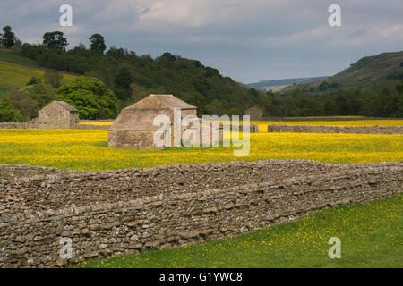 Malerische Swaledale Upland Wildblumen Heuwiesen (alte Steinfelder Scheunen, bunte sonnenbeschienene Wildblumen, Hügel, blauer Himmel) - Muker, Yorkshire Dales, GB. Stockfoto