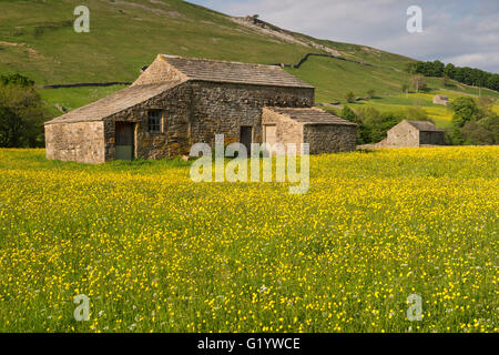 Malerische Swaledale Upland Wildblumen Heuwiesen (alte Steinfelder Scheunen, bunte sonnenbeschienene Wildblumen, Hügel, blauer Himmel) - Muker, Yorkshire Dales, GB. Stockfoto