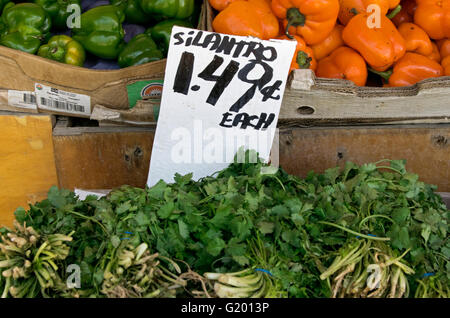 Ein Schild an einem Gemüse Stand ein falsch geschriebenes Wort zu Brighton Beach Avenue in Brooklyn, New York Stockfoto