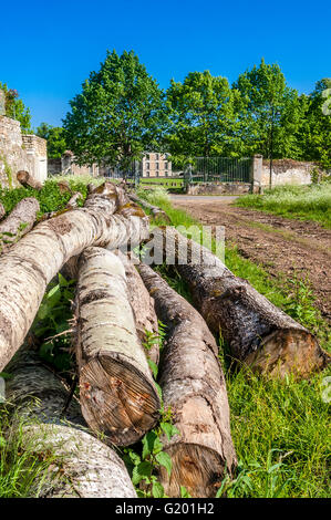 Haufen Holz / gefällten Baumstämme - Frankreich. Stockfoto