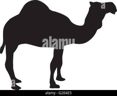 Dromedar-silhouette Stock Vektor