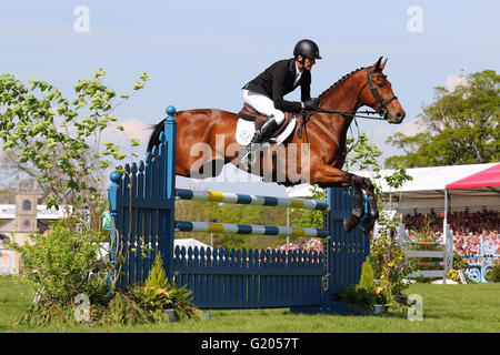 Sir Mark Todd (New Zealand) Reiten Leonidas II im Springreiten bei den Mitsubishi Motors Badminton Horse Trails 2016 Stockfoto