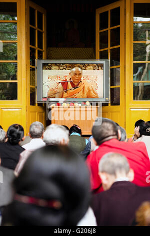 Hunderte von tibetischen Mönchen, Nonnen und anderen Gläubigen sammeln für den fünften Tag der Lehren von seiner Heiligkeit dem Dalai Lama. Stockfoto