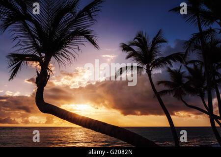 Palmen am Sonnenaufgang oder am Sonnenuntergang am karibischen Meer. Stockfoto