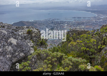 Tafelberg mit Blick auf die Stadt Kapstadt und ist ein Wahrzeichen von Südafrika Stockfoto