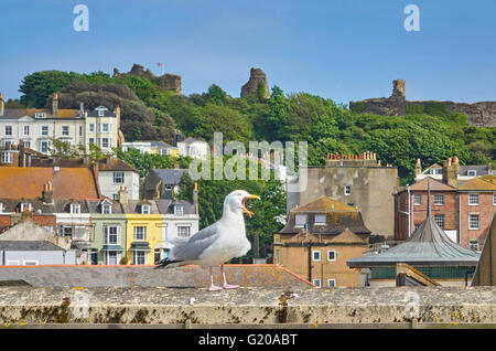 Möwe und Hastings Castle, East Sussex, England, GB, UK Stockfoto