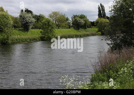 Fluss oder Bach in Spalding Lincolnshire UK Stockfoto