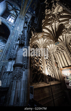 Sainte Cécile Kathedrale in Albi (Tarn, Frankreich) Stockfoto