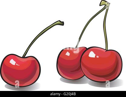 Reife rote Kirsche Beeren Stock Vektor