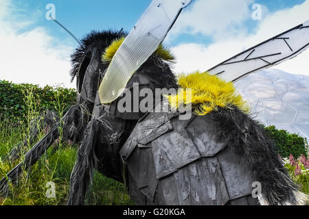 Riesige Bumble Bee Skulptur, Eden Project, Cornwall Stockfoto