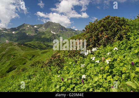 Kaukasus in Georgien Stockfoto