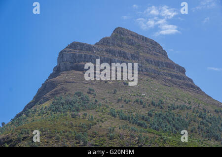 Lions Head Berg ist Teil der Table Mountain Range in Cape Town, South Africa Stockfoto