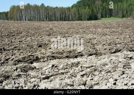 Neu gepflügt Frühlingsfeld in Hollola Finnland Stockfoto