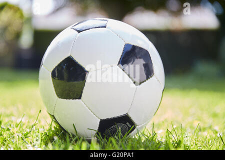 Fußball Fußball-Spiel auf dem grünen Rasen des Gartens liegen Stockfoto