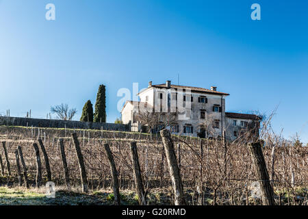 Weinberge von Italien im zeitigen Frühjahr an einem sonnigen Morgen Stockfoto