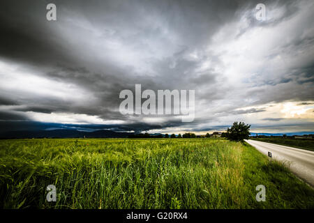 ein Sturm ist über die Felder von Italien growin up Stockfoto