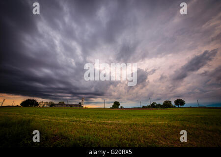 ein Sturm ist über die Felder von Italien growin up Stockfoto