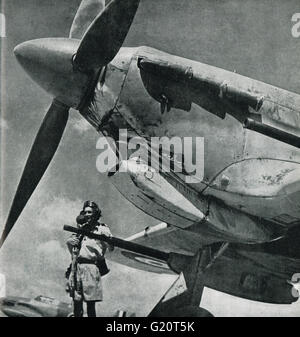 Dem zweiten Weltkrieg, der Tank Buster, Hawker Hurricane II D Stockfoto